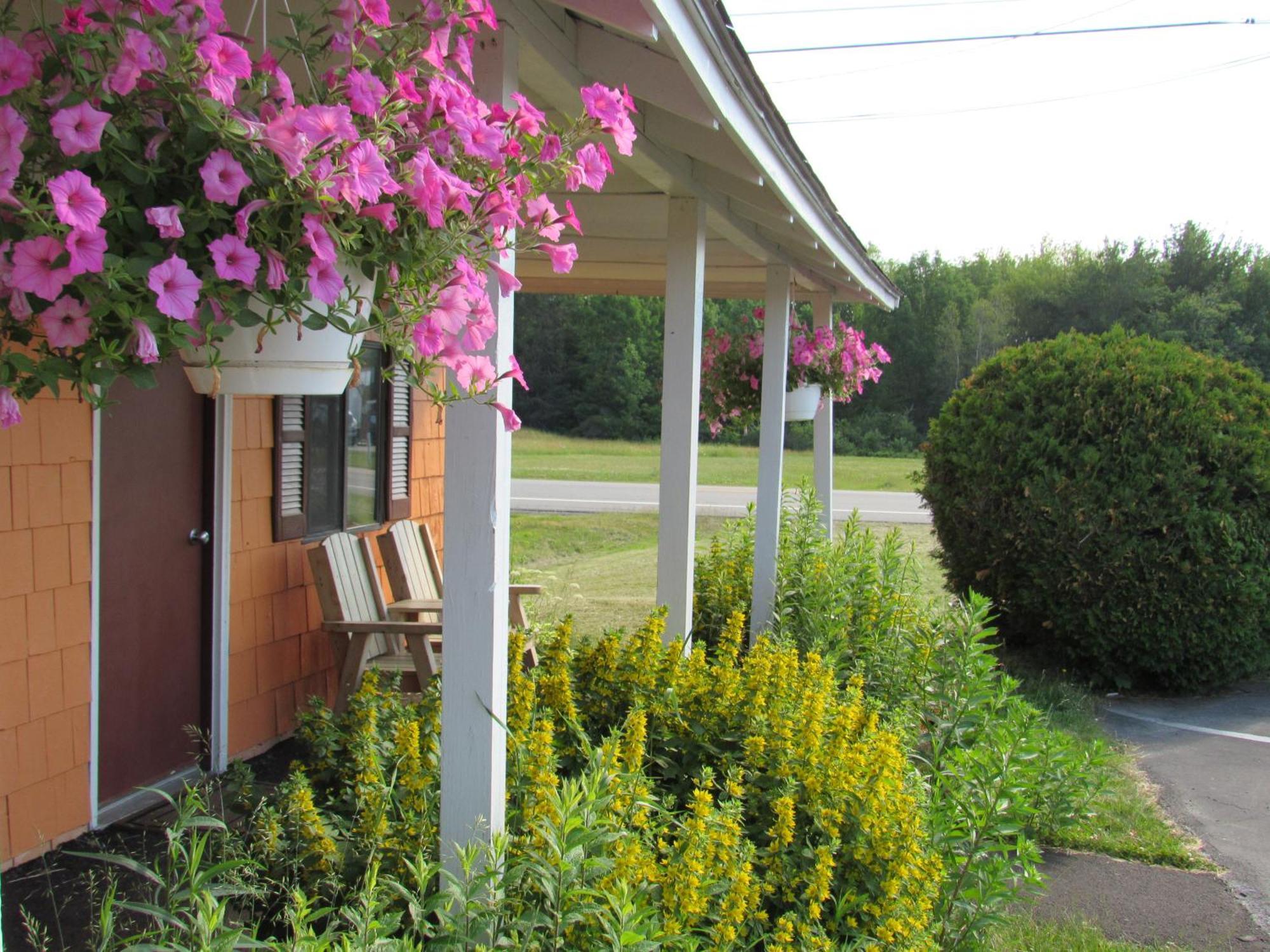 Acadia Gateway Motel Trenton Kültér fotó